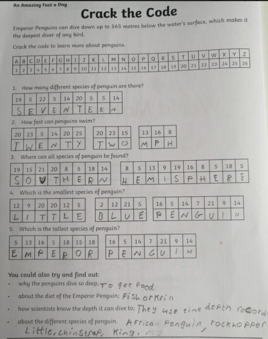 World Math Day Codebreak World Maths Day 2021 - Mary Queen of Peace Primary School, Glenravel